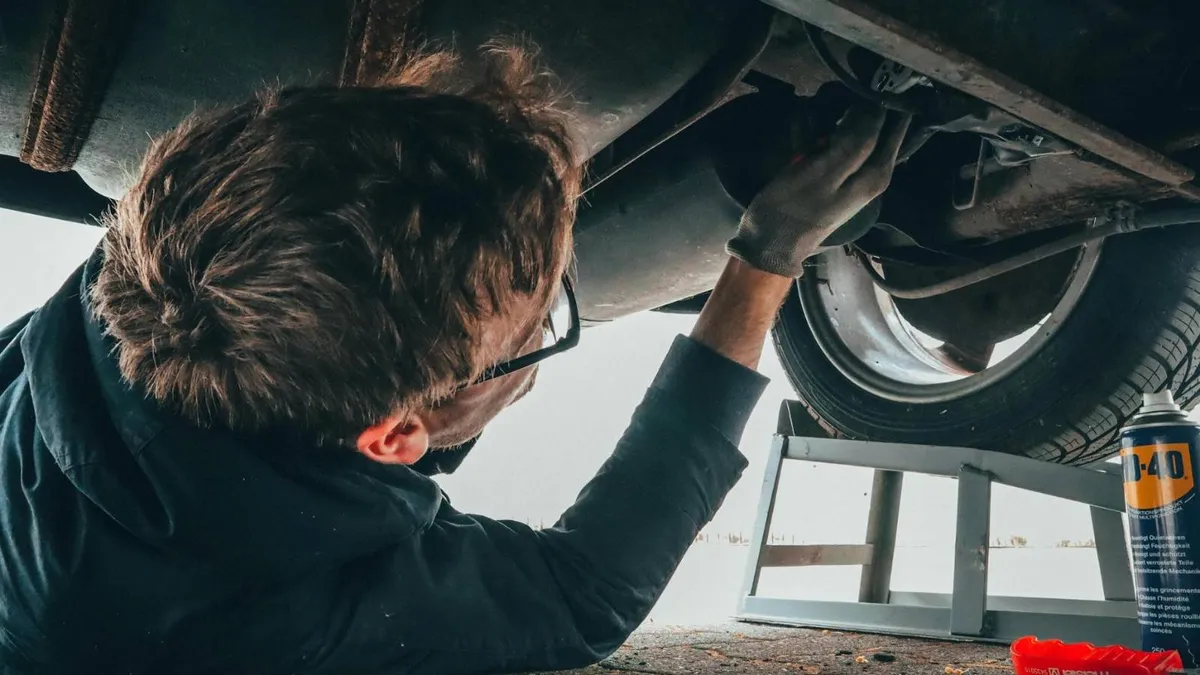 PSD, contra amendamentelor la Legea RCA (sursa: Pexels/Malte Luk)