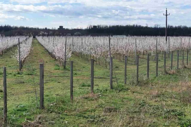 Birocrația românească distruge proiecte finanțate european (sursa: ziaruldeiasi.ro)