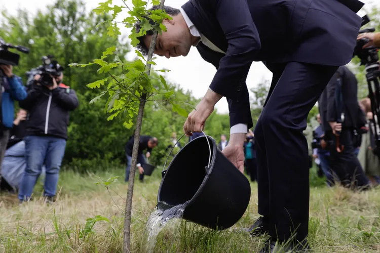 Ce ne spun despre proiectul lui Nicușor Dan propunerile la SRI și SIE Foto: Inquam/George Calin