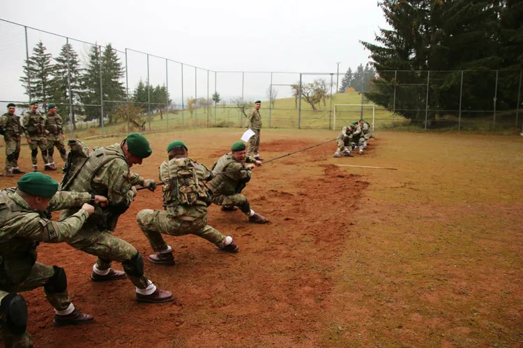 Aproape 30% ar fugi din țară dacă începe un război Foto: Facebook ministerul Apărării