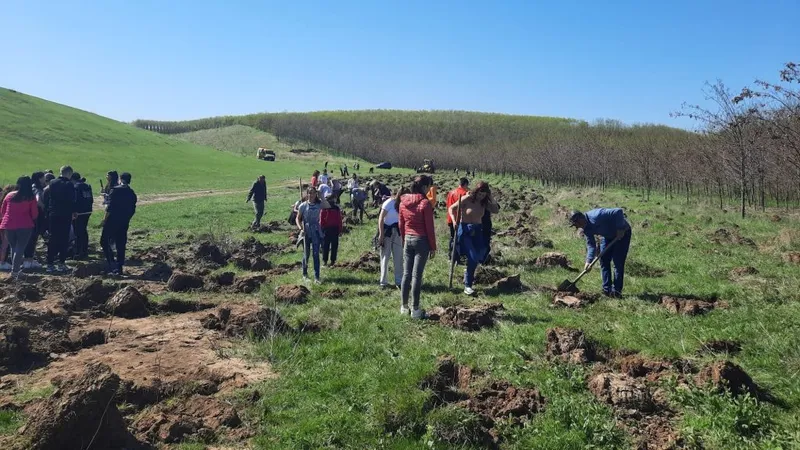 Terenurile degradate, împădurite pe banii UE (sursa: ziaruldeiasi.ro)