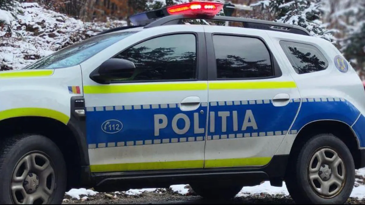 Crima de la Cenei, răspundere penală (sursa: Facebook/Poliția Română)