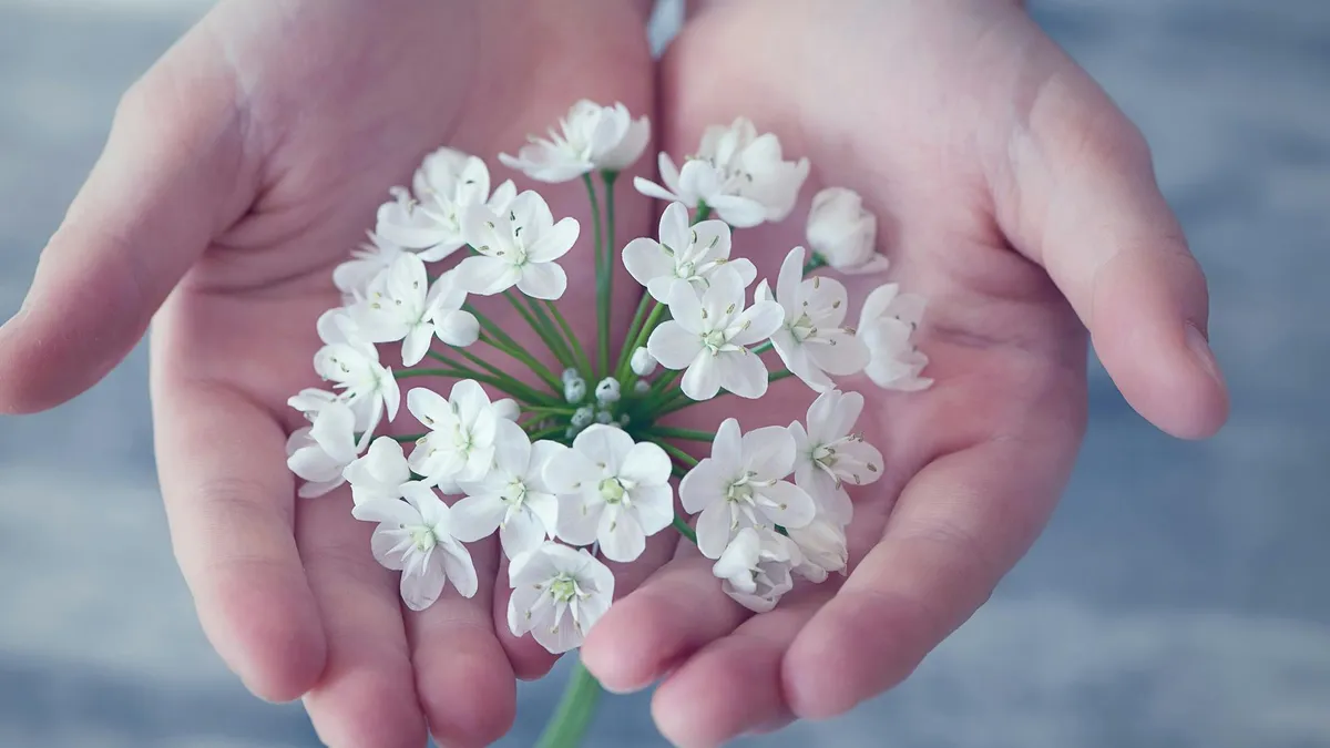 1,7 milioane de români sărbătoriți de Florii (sursa: Pexels/Pixabay)