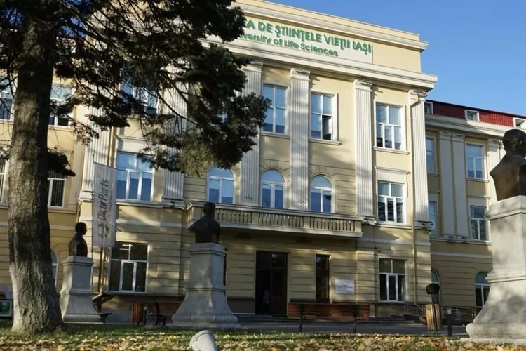 Profesor ieșean, acuzat de comportament nepotrivit (sursa: ziaruldeiasi.ro)