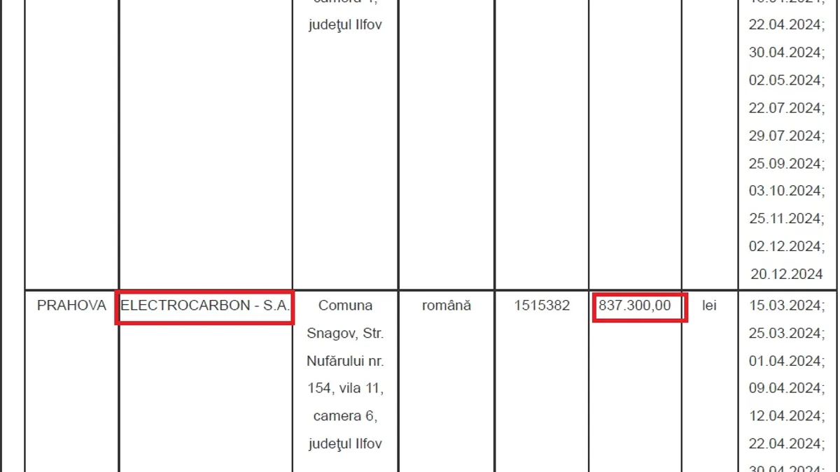 Firmele lui Tufan, donații la PSD