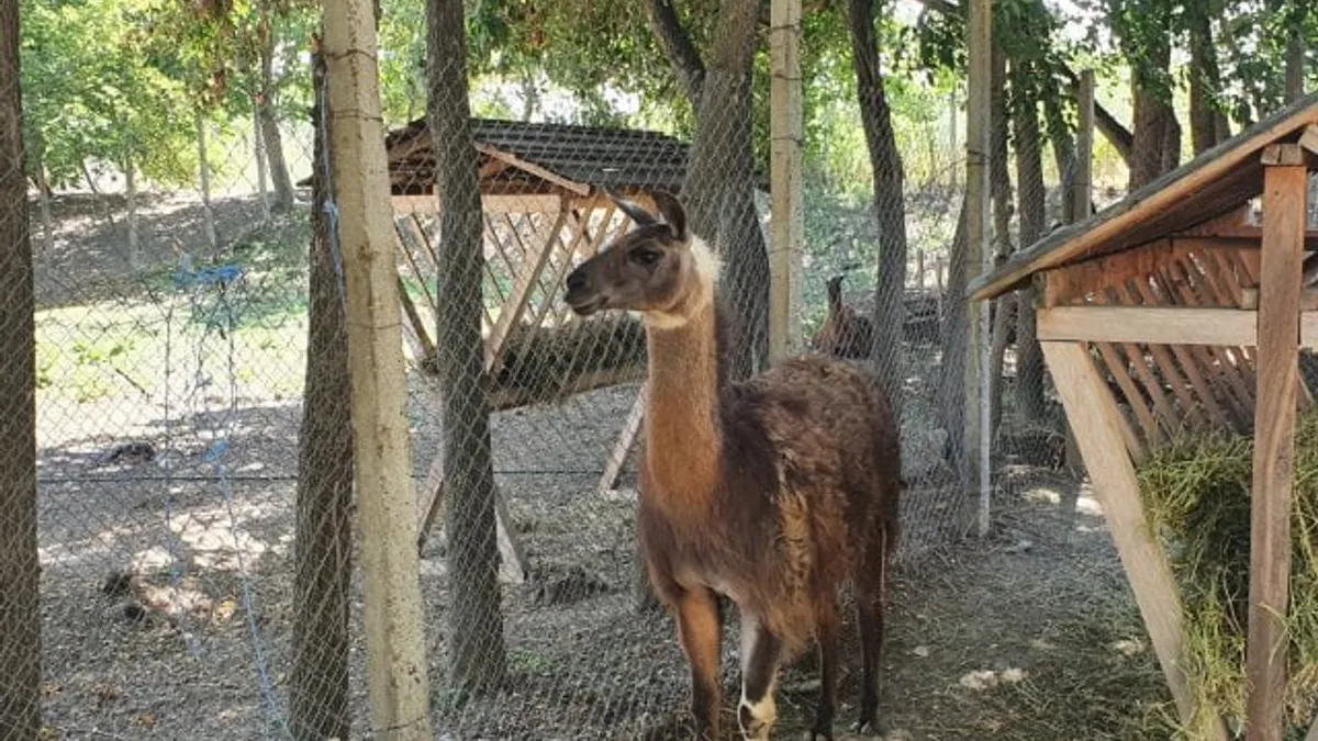 Arca lui Alexe Tablă, fără autorizație (sursa: ziaruldeiasi.ro)