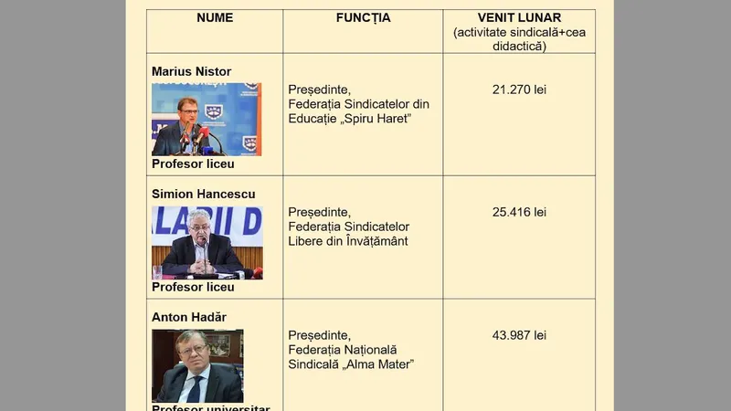 Danileț, atacat pentru publicarea veniturilor sindicaliștilor (sursa: Facebook/VeDem Just - Voci pentru Democraţie şi Justiţie)