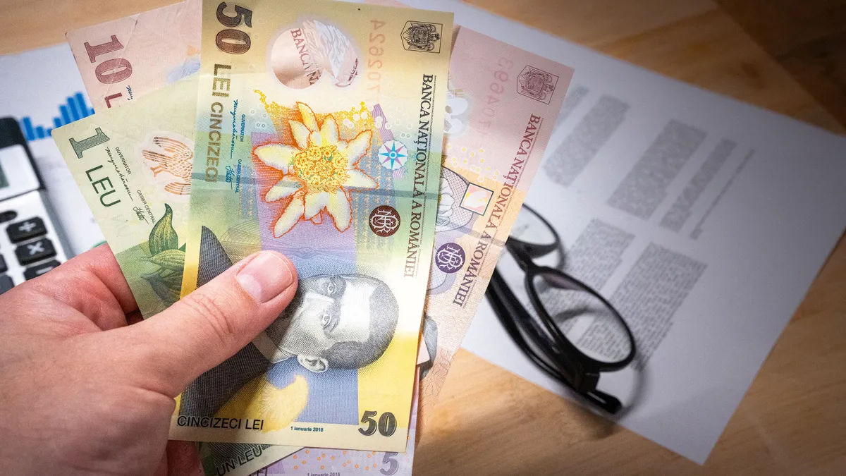 Bancnote românești, alături de documente financiare