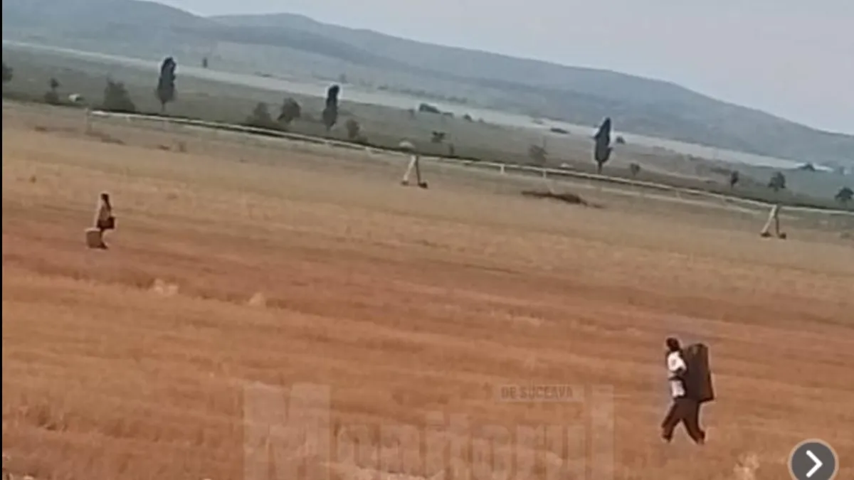 Pasagerii unui tren spre Suceava au făcut autostopul Foto: Monitorul de Suceava