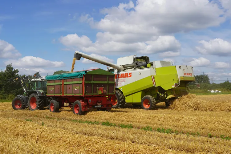 Comerțul cu cereale macină și firmele (sursa: Pexels/Wolfgang Weiser)