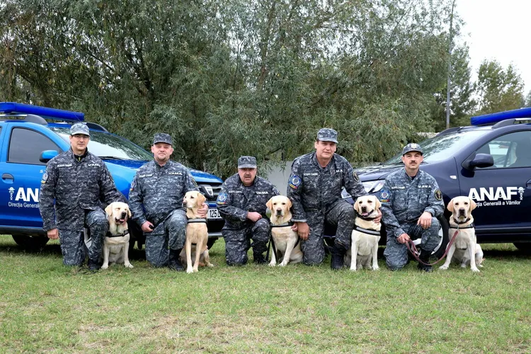 PSD preia controlul vămilor Foto: Facebook 