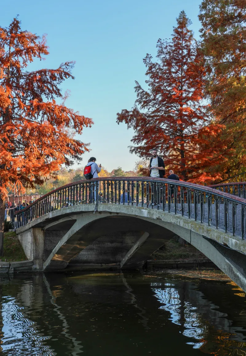 Ciprian Ciucu va amenaja cu prioritate Parcul Herăstrău