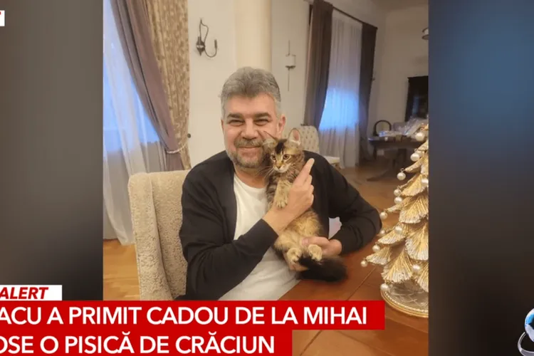 Noi culmi ale slugărniciei la Antena 3 Foto: Captură video