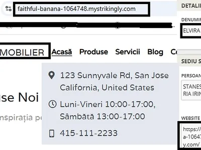 Firmă nouă, contracte publice de aproape 360.000 de lei: are sediul în Neamț, dar afișează pe site o adresă din California