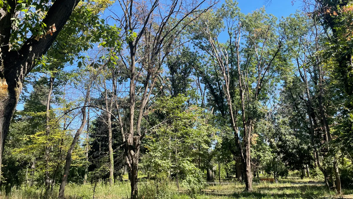Parcul Herăstrău, un maidan prăfuit, abandonat