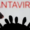 Hantavirusul, tranmis prin rozătoare sălbatice Foto: captură video X/Twitter