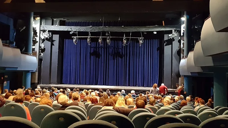 Delapidare de fonduri la Teatrul Bulandra (sursa: bulandra.ro)