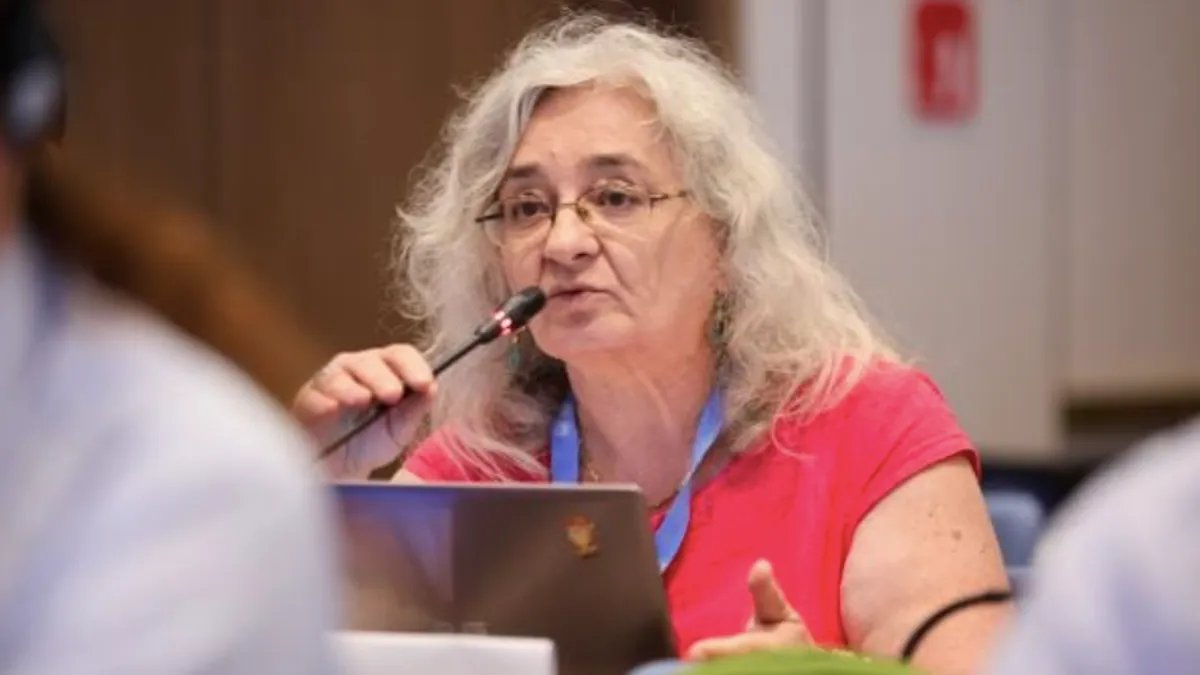 Ciclonul Ashley nu există (climatologul Bojariu) (sursa: Facebook/Roxana Bojariu)