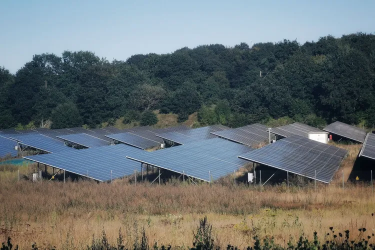 Febra fotovoltaicelor în România: greșeala care poate scumpi investiția firmelor
