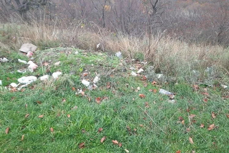 Cetatea de la Cotnari, în pericol major (sursa: ziaruldeiasi.ro)
