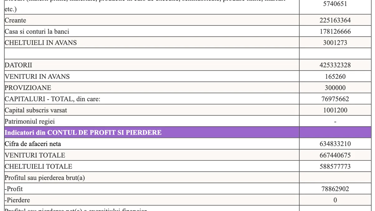 Bilanțul pe 2024 al Superbet Betting & Gaming SA (sursa: Ministerul Finanțelor)