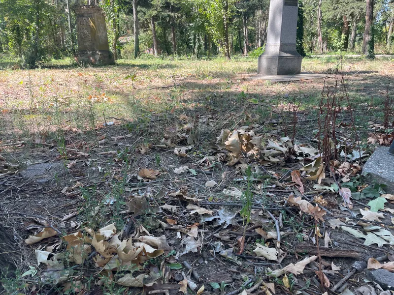 Parcul Herăstrău, un maidan prăfuit, abandonat