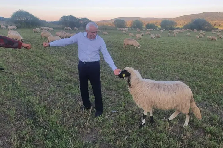 Intervenție decisivă a lui Petre Daea în legătură cu protestul oierilor: „Eu nu critic oaia seara și dimineața îi mănânc brânza”