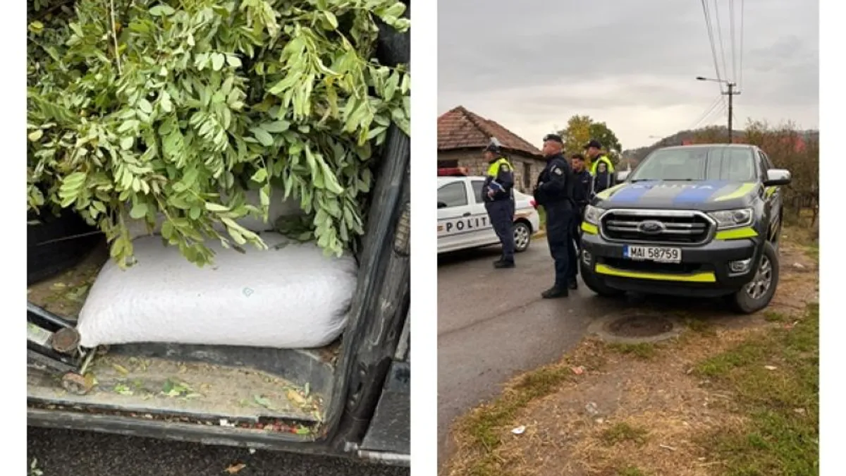 Poliția la confiscat măceșe