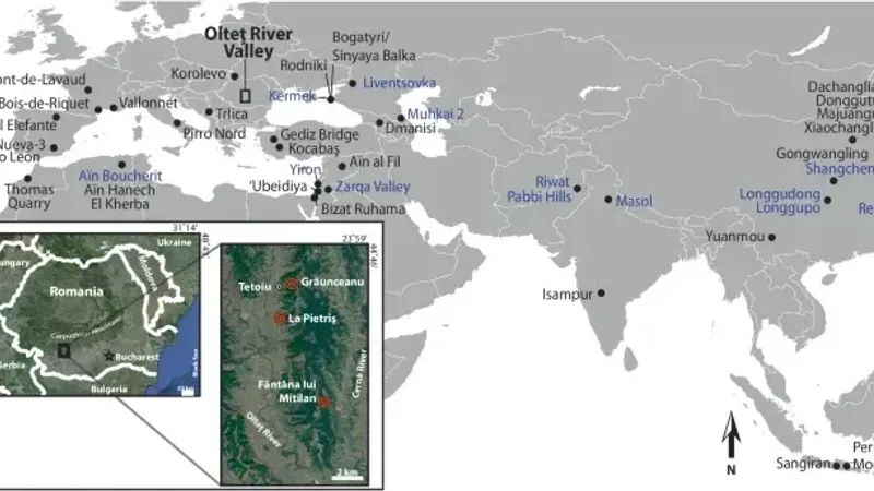 Homo Olteniensis, noua vedetă a antropologiei (sursa: nature.com)