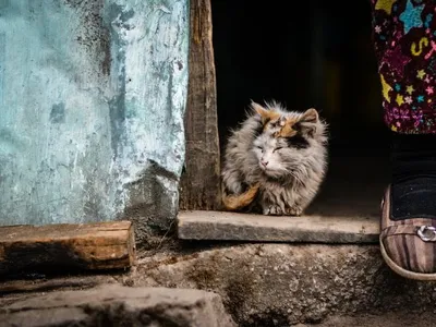 Primăriile de comună din România, falimentare (sursa: ziaruldeiasi.ro)