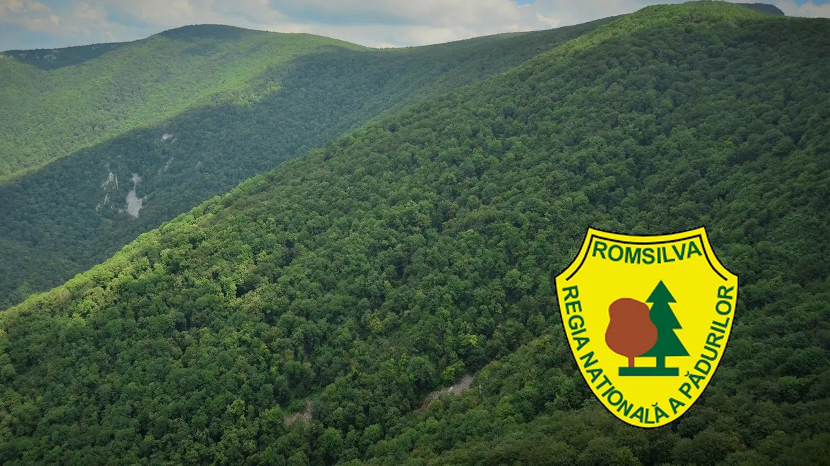 Angajații Romsilva luau prime uriașe deși direcția în care lucrau avea pierderi imense Foto: Gazarul