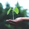 Facturile mari ascund costul poluării (sursa: Pexels/Akil Mazumder)