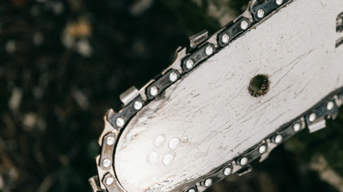 Beat, s-a apucat de tăiat cu drujba copaci din pădure. Nici măcar nu voia să-i fure (sursa: Pexels/Karola G)