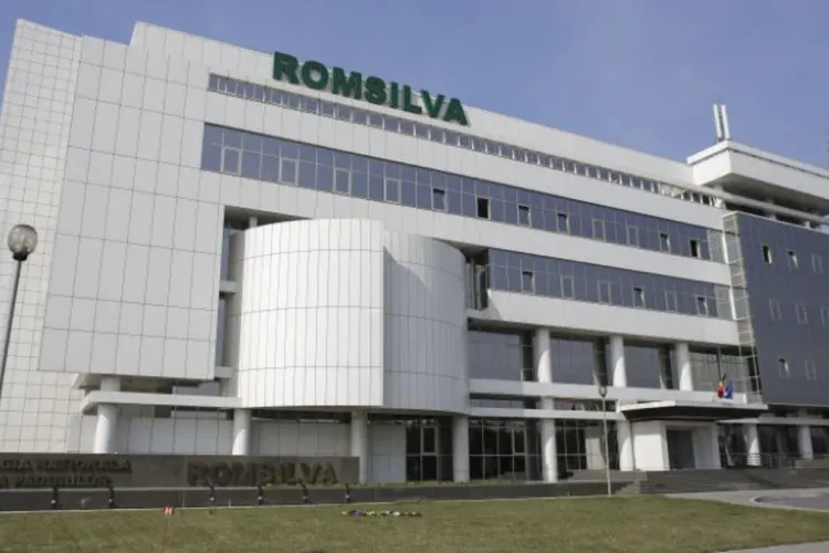Romsilva, zeci de milioane de lei cheltuiți netransparent, prin sute de negocieri directe - analiză ANAP. După Romsilva, Spitalul Universitar București