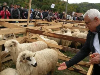 “M-am rugat lui Dumnezeu să vină cereale din Ucraina“ Foto: Agrointeligența