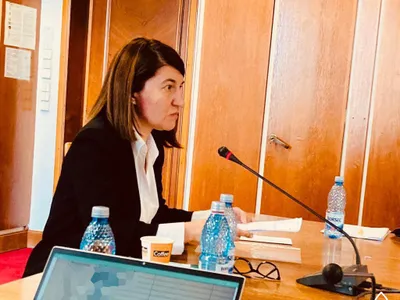 „Pensiile speciale rămân. Se schimbă cu penseta, ușor”, anunță fostul ministru Violeta Alexandru Foto: Facebook