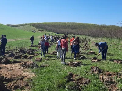 Terenurile degradate, împădurite pe banii UE (sursa: ziaruldeiasi.ro)