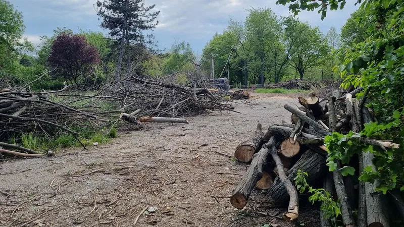 Opt europarlamentari vizitează pădurile din România Foto: Facebook Nicu Stefanuta