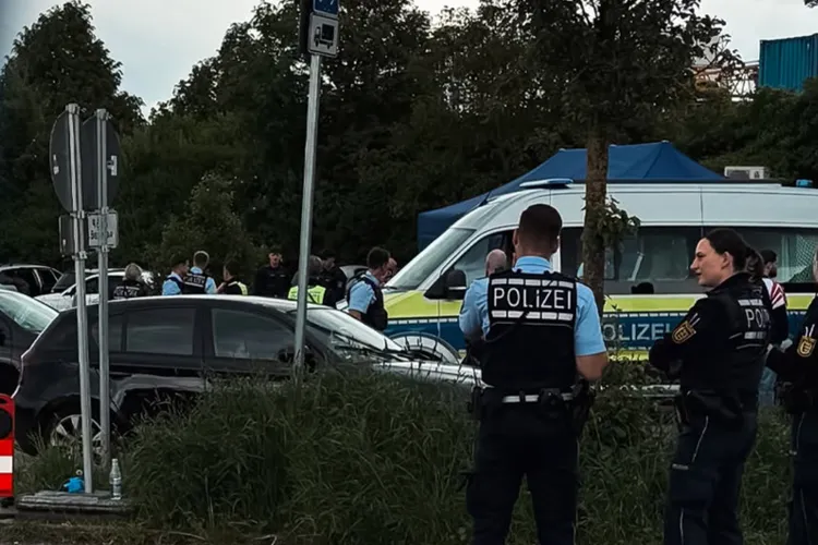 Român arestat în Germania, acuzat că pregătea prăbușirea statului român. Ce spun procurorii federali
