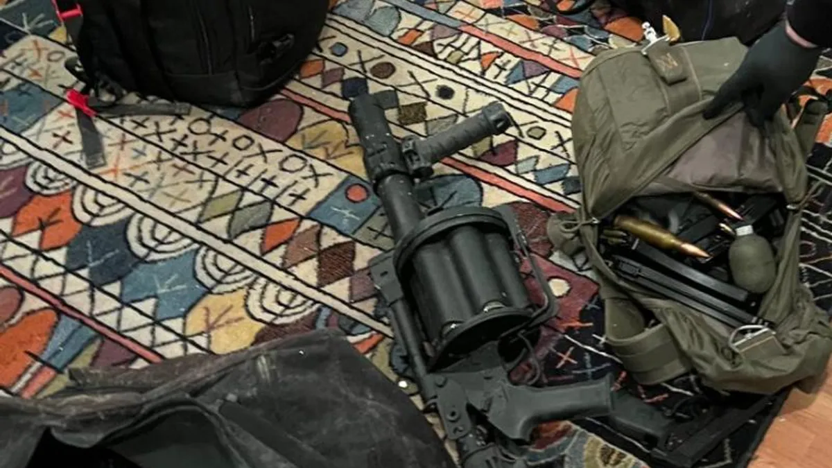 Banii și armele lui Horațiu Potra