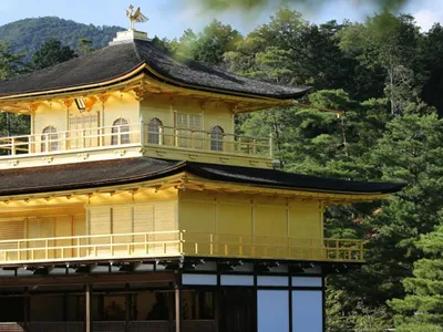 Japonia trimite armata să prindă urșii (sursa: Pexels/Crisis Band)