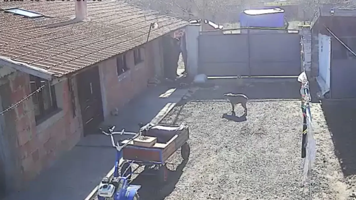 Gunoi abandonat, aruncat în curtea săteanului (sursa: Facebook/Maria Bilț)