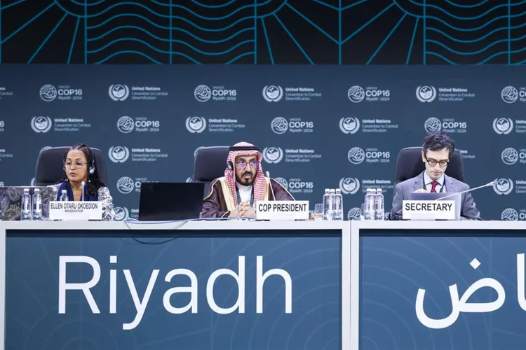COP16, negocierile s-au încheiat fără consens (sursa: Facebook/Cop16Riyadh)