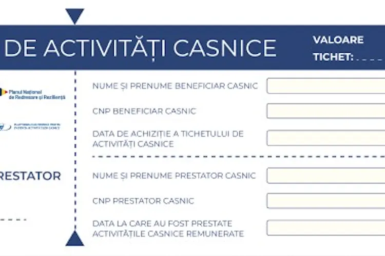 Tichetele casnice, tot mai folosite (sursa: ziaruldeiasi.ro)
