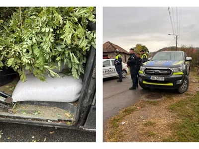 Succes major al poliției Jibou, care pus capăt traficului cu măceșe. Marfa, de 1.700 lei, confiscată