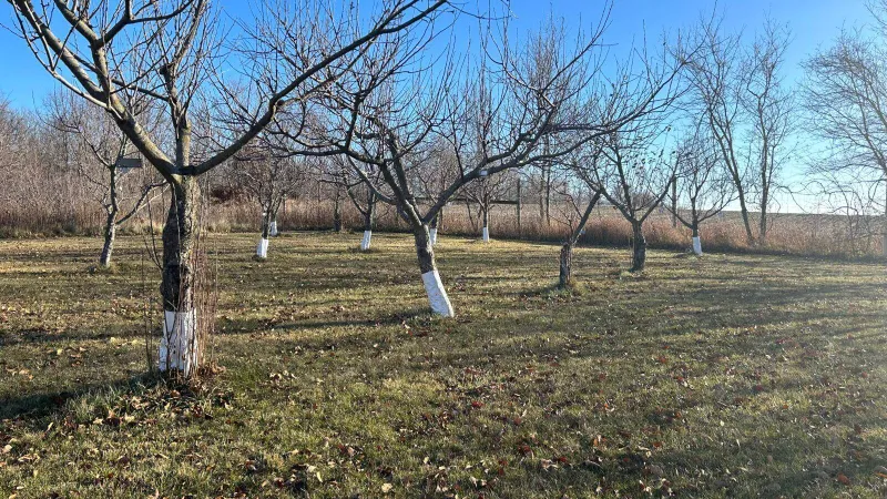 Fermierii din Iași deplâng lipsa zilierilor (sursa: ziaruldeiasi.ro)