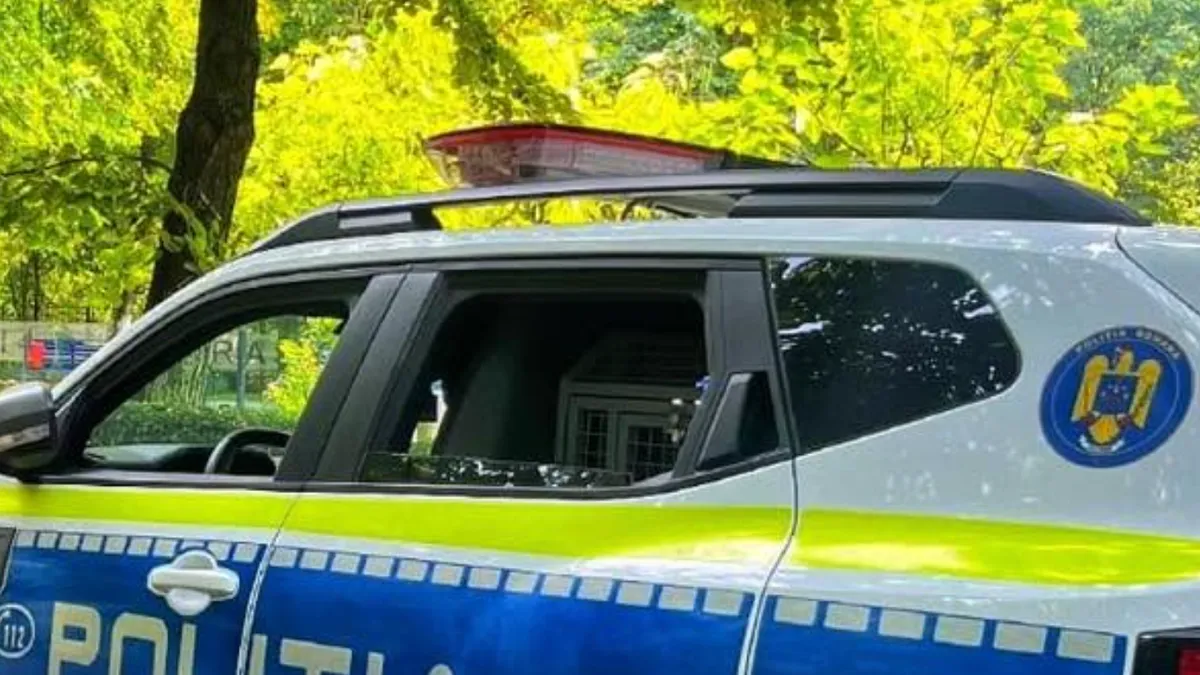 Polițiștii cu etiltestele pregătite stau și pe drumuri sătești (sursa: Facebook/Poliția Română)
