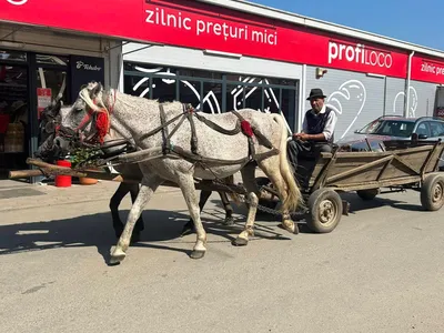 România, după Bulgaria, într-un clasament privind calitatea vieţii  Foto: Facebook