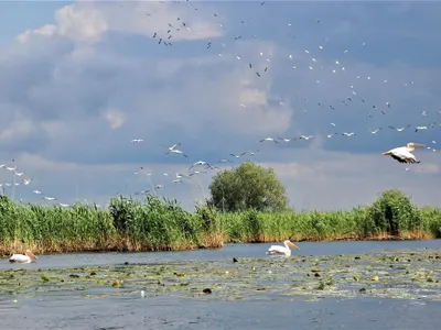 Efectul tăierii voucherelor: turiștii români evită propria țară Foto: Facebook ARBDD