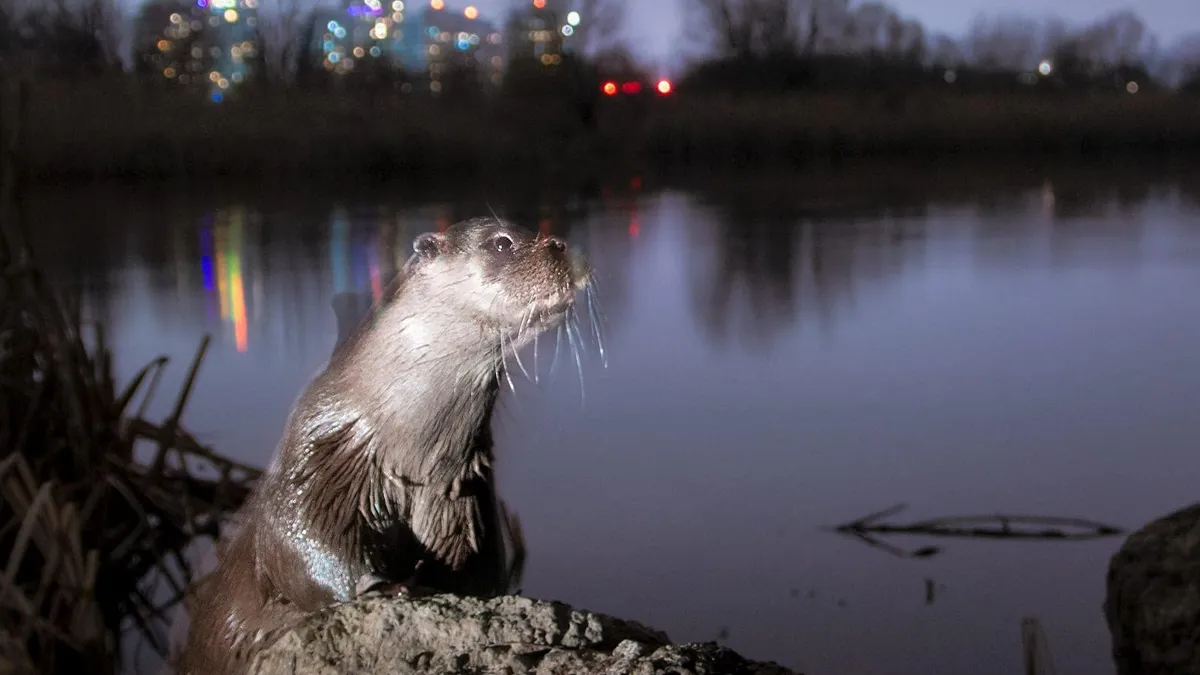 Parcul Văcăreşti are regulament Foto: Administrația Parcului Văcărești